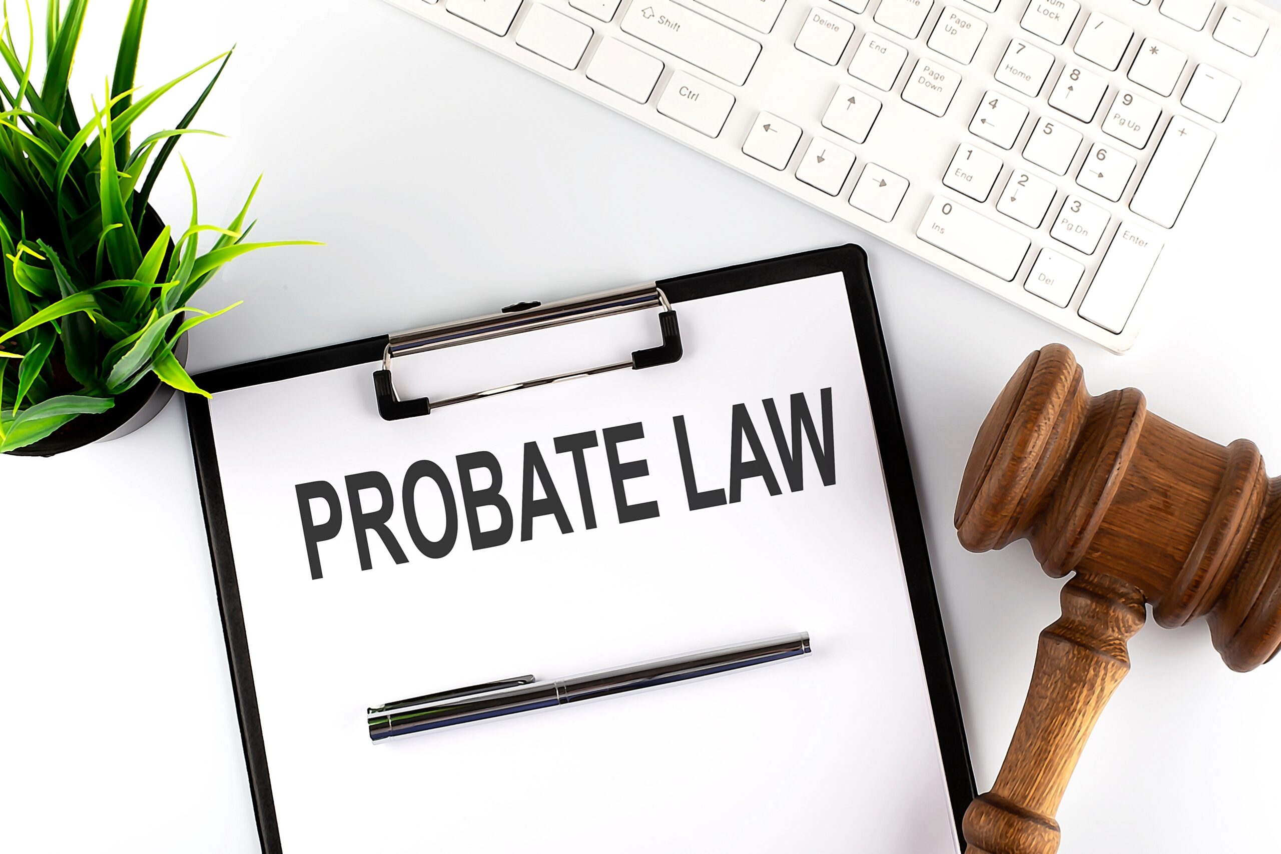 Florida probate lawyer